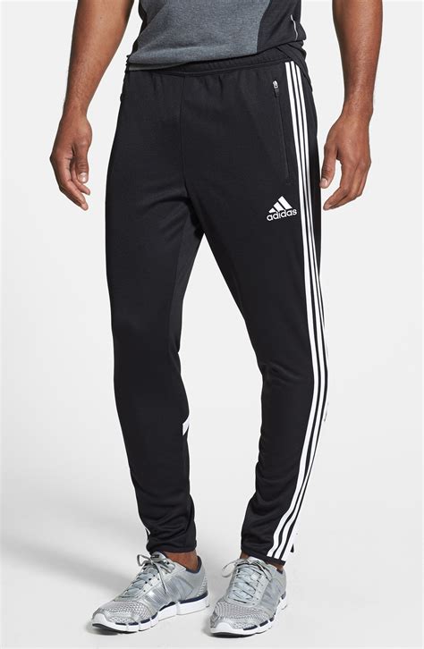 which adidas pants to buy